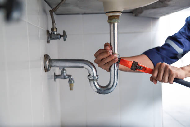 Best Plumbing Inspection Services  in Princeton, WI